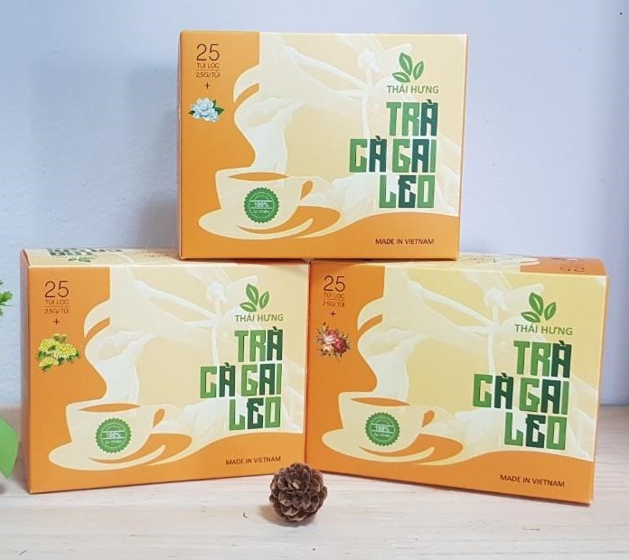 CÀ GAI LEO - THUỐC TỰ NHIÊN BẢO VỆ LÁ GAN TỐT NHẤT