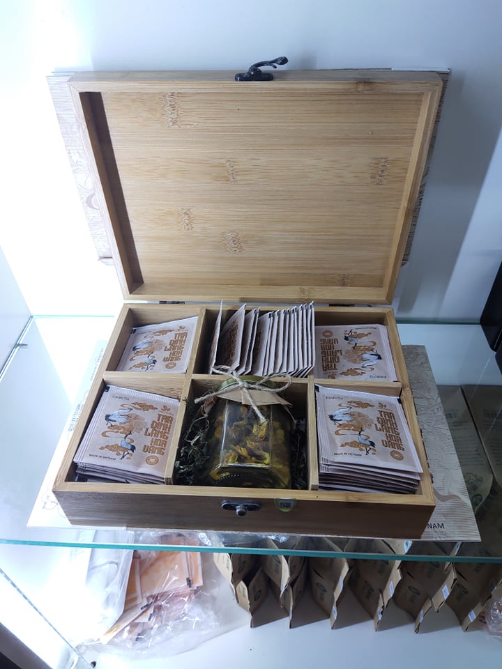 Trà đinh lăng hoa vàng giúp an thần ngủ ngon